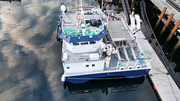 Vard Aukra B : 842 EA Luma i stål 2 of 30