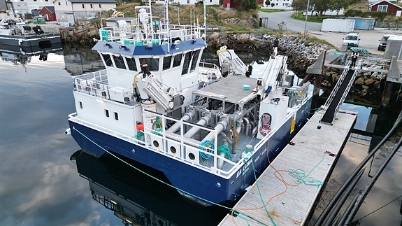 Vard Aukra B : 842 EA Luma i stål 7 of 30