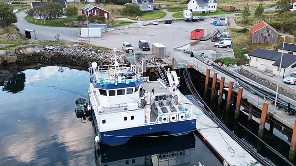 Vard Aukra B : 842 EA Luma i stål 15 of 30