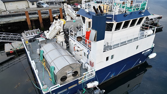 Vard Aukra B : 842 EA Luma i stål 6 of 30