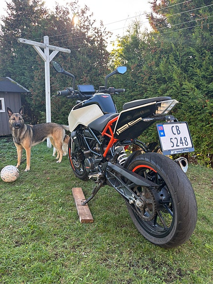 KTM 125 Duke 9 of 16