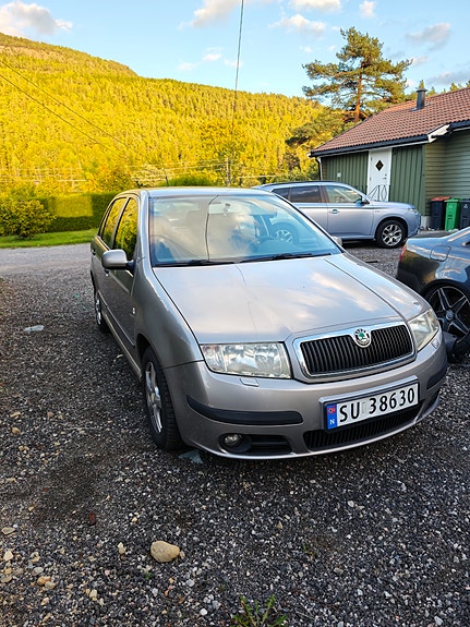 Skoda Fabia 2 of 19
