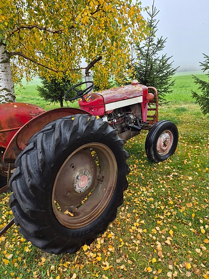Massey Ferguson Mf 25/30 5 of 11
