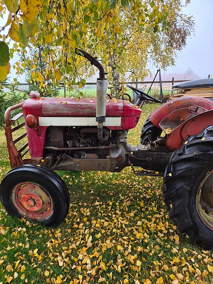 Massey Ferguson Mf 25/30 3 of 11