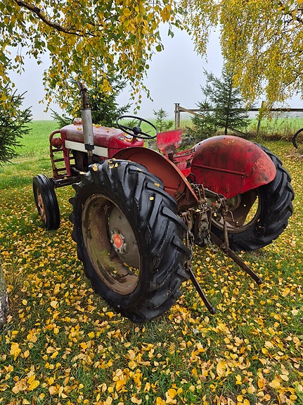 Massey Ferguson Mf 25/30 4 of 11