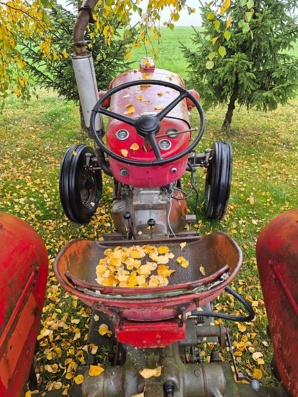 Massey Ferguson Mf 25/30 8 of 11