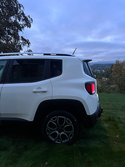 Jeep Renegade 9 of 18