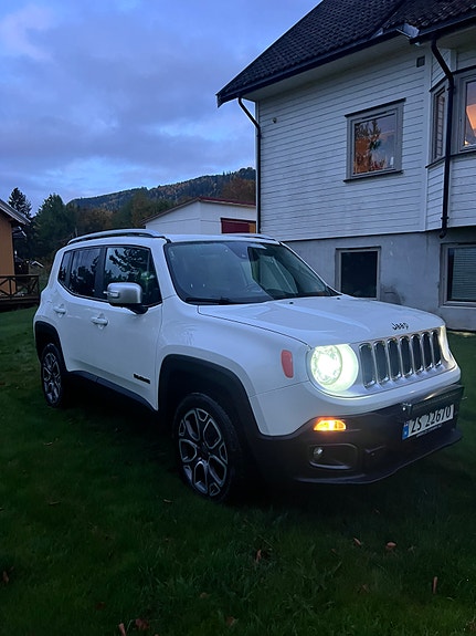 Jeep Renegade 3 of 18