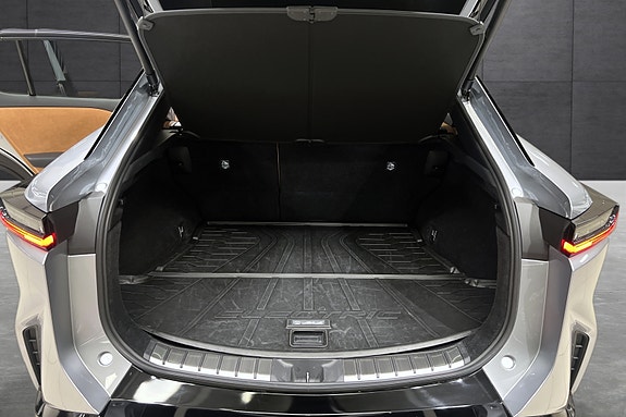 Lexus RZ450e 23 of 25