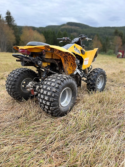 Can-Am Bombardier DS 250 6 of 11