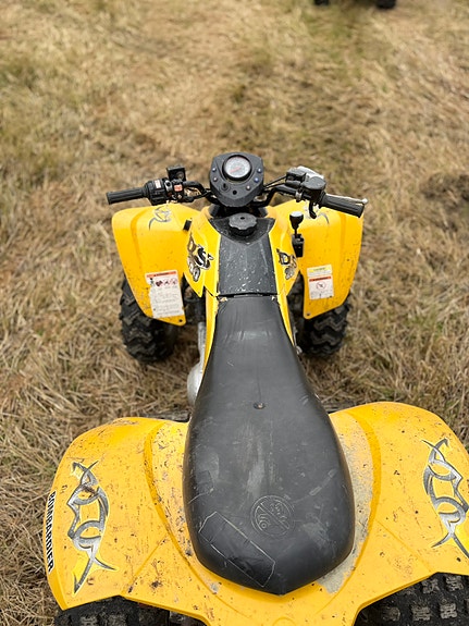 Can-Am Bombardier DS 250 9 of 11