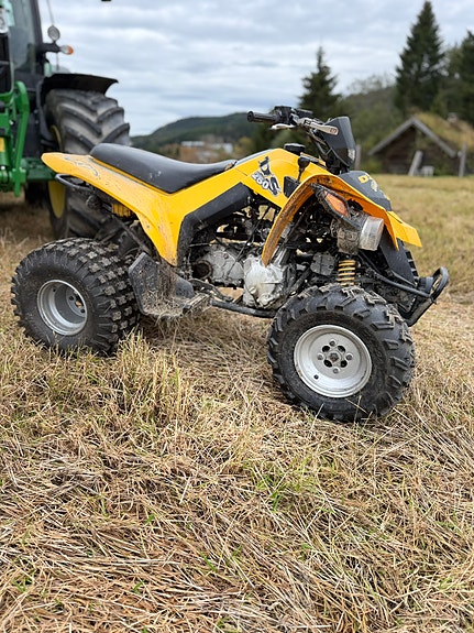 Can-Am Bombardier DS 250 2 of 11