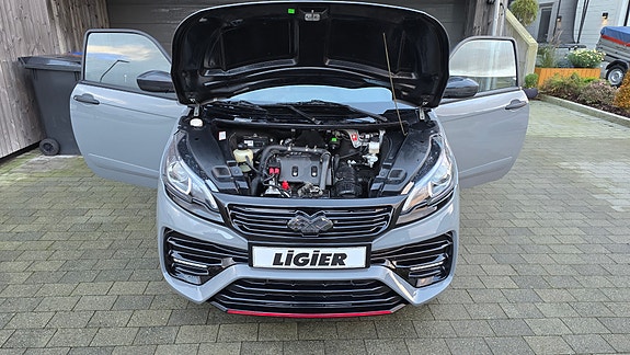 Ligier JS50 Sport Ultimate 14 of 14
