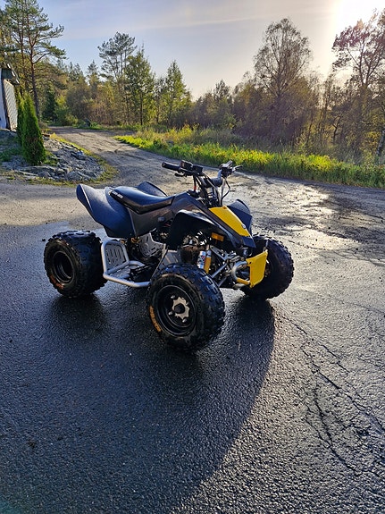 Can-Am DS X 90 6 of 9