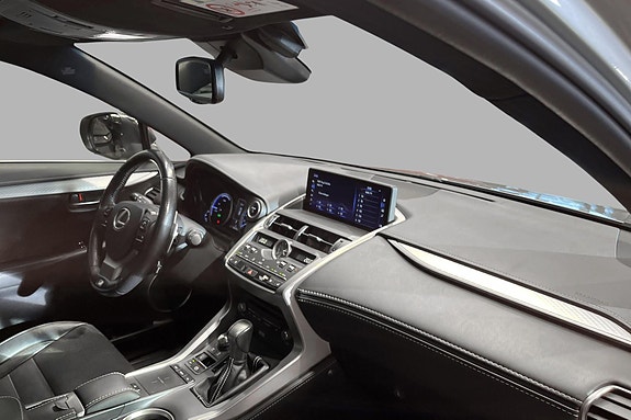 Lexus NX300h 15 of 19