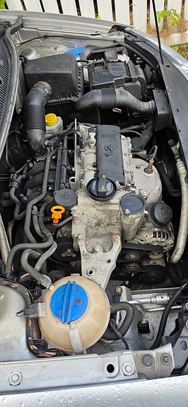 Volkswagen Polo 22 of 23
