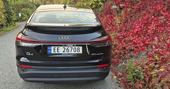 Audi Q4 e-tron 10 of 20