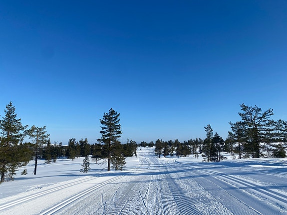 Knaus 650 Royale Liatoppen Fjellpark 25 of 30