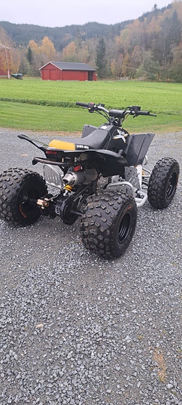Can-Am DS 90 X 4 of 9