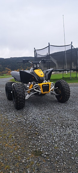Can-Am DS 90 X 3 of 9