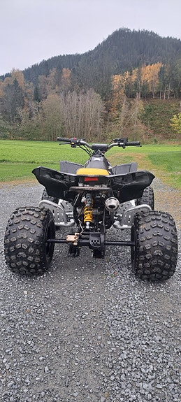 Can-Am DS 90 X 5 of 9