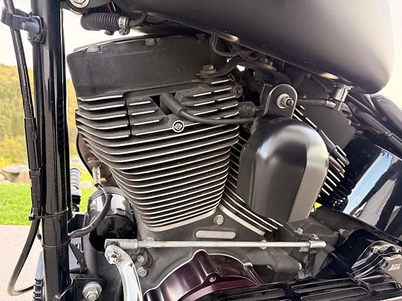 Harley-Davidson FXSTB / I Softail Night Train 29 of 30