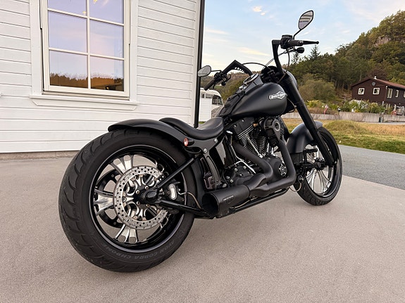 Harley-Davidson FXSTB / I Softail Night Train 12 of 30