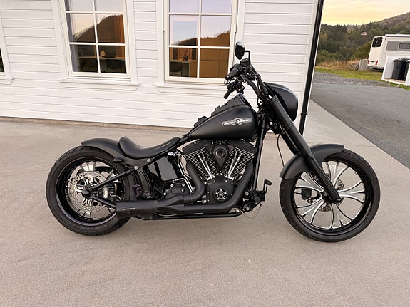 Harley-Davidson FXSTB / I Softail Night Train 13 of 30
