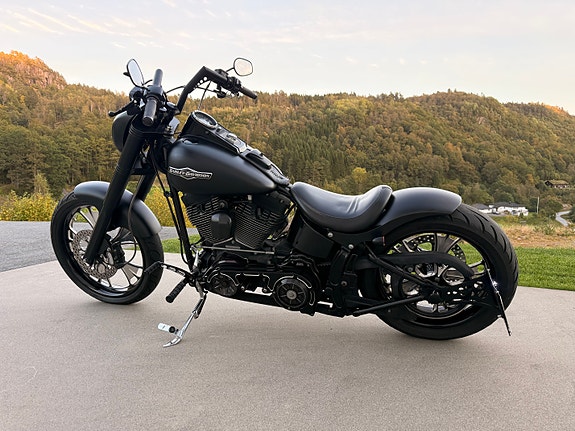 Harley-Davidson FXSTB / I Softail Night Train 7 of 30