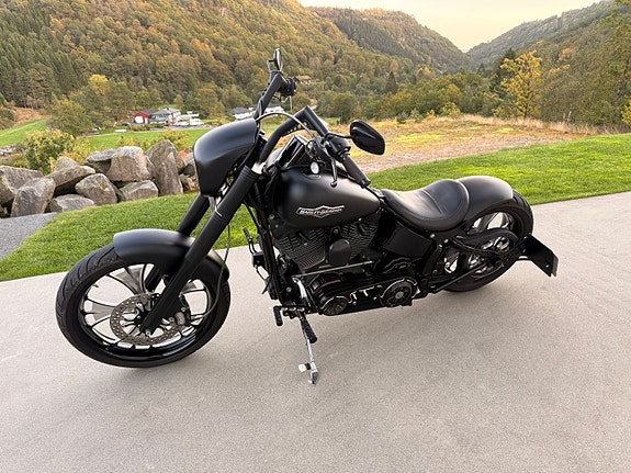 Harley-Davidson FXSTB / I Softail Night Train 6 of 30