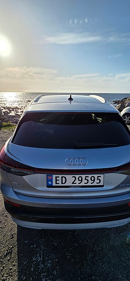 Audi Q4 e-tron 14 of 30