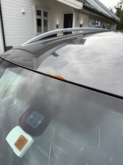 Volkswagen Tiguan 21 of 24