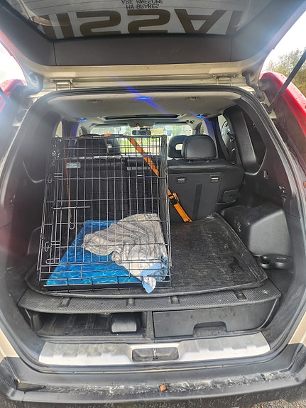 Nissan X-Trail 10 of 11
