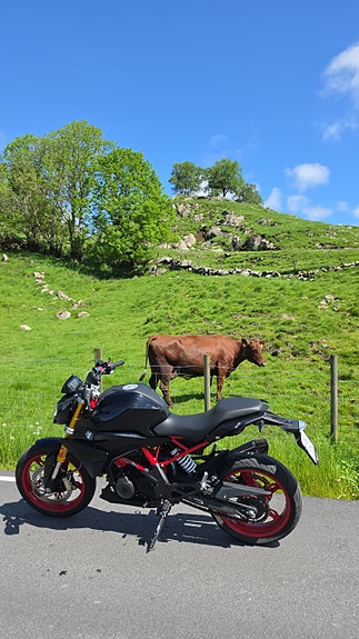 BMW G 310 R 4 of 4