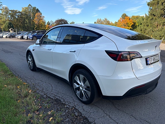 Tesla Model Y 6 of 19