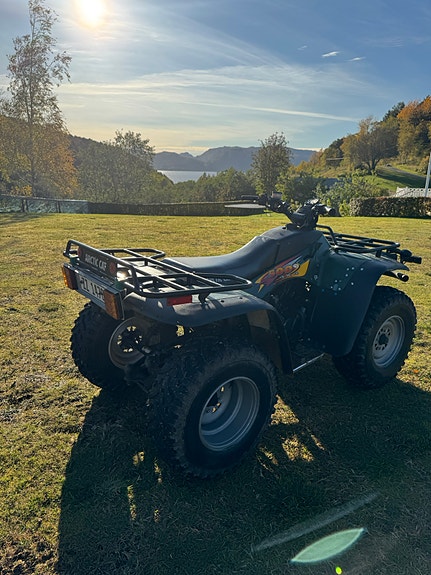 Arctic-cat Bearcat 454 (ATV) 4 of 10