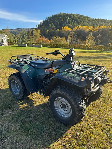 Arctic-cat Bearcat 454 (ATV) 5 of 10