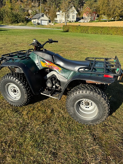 Arctic-cat Bearcat 454 (ATV) 2 of 10