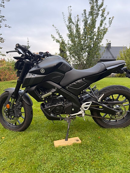 Yamaha MT-125 8 of 14