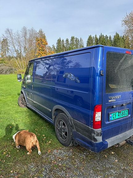 Ford Transit 300S Van 3 of 11