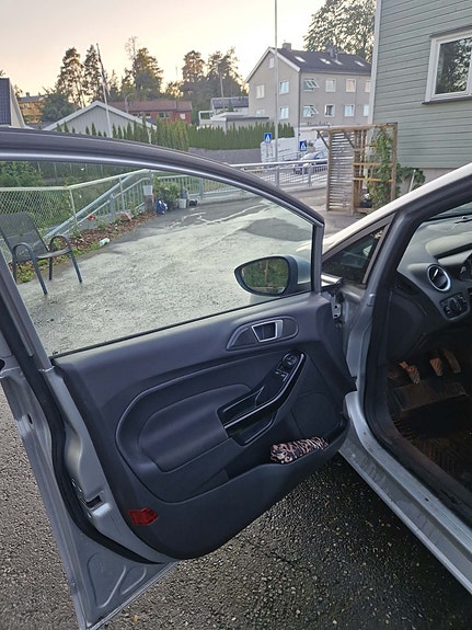 Ford Fiesta 12 of 17
