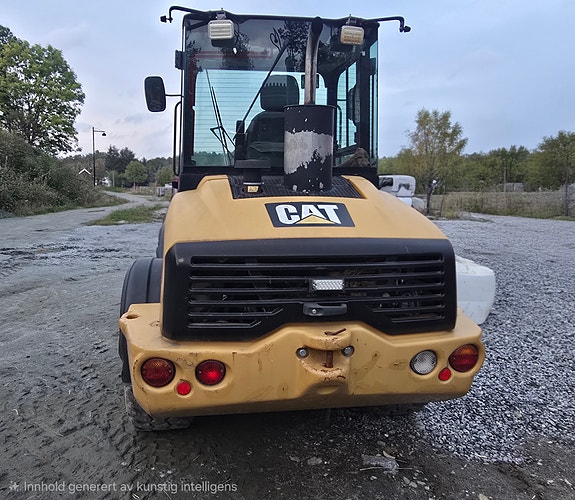Cat 908H 2 of 10