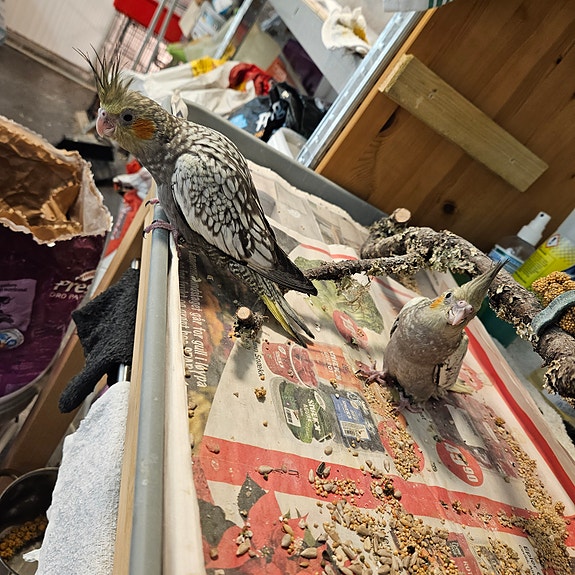 Product image 4 of 10