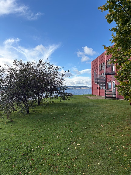 Bilde 3 av 3 i jobbannonse-galleriet