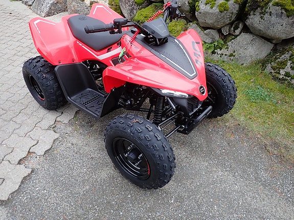 CFMOTO Cforce 110 2 of 6