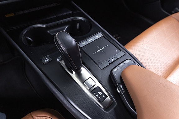 Lexus UX300e 17 of 25
