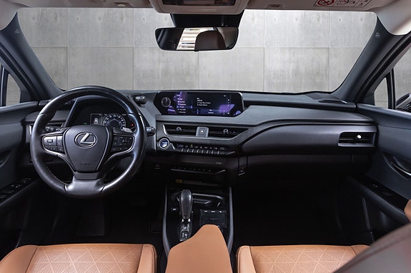 Lexus UX300e 22 of 25