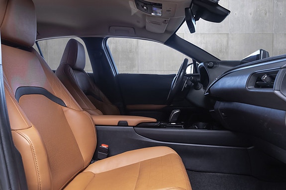 Lexus UX300e 24 of 25