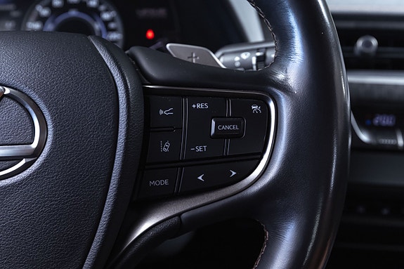 Lexus UX300e 12 of 25