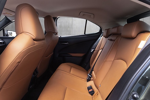 Lexus UX300e 21 of 25